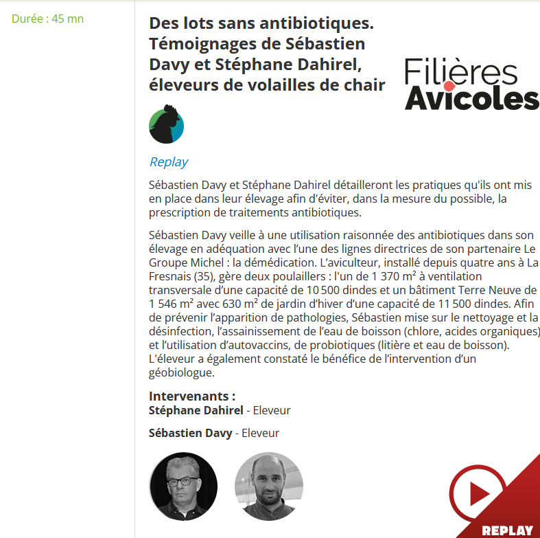 Fili%c3%a8res avicoles   sans antibiotique